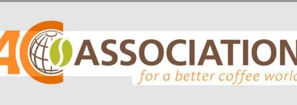 Imagen de WhatsApp 2025-09-20 a las 09.27.57_02b04657